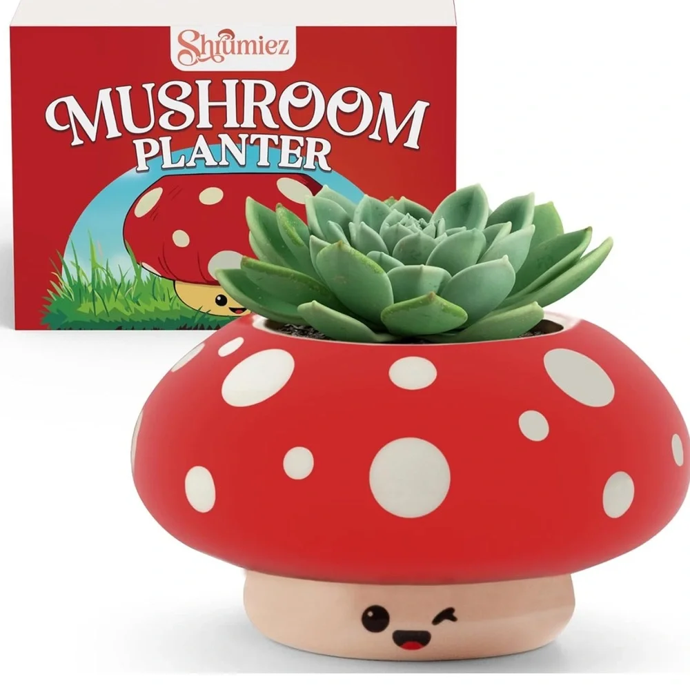 Shumiez Mushroom Planter, NIB 🍄 🌱 - Picture 8 of 16